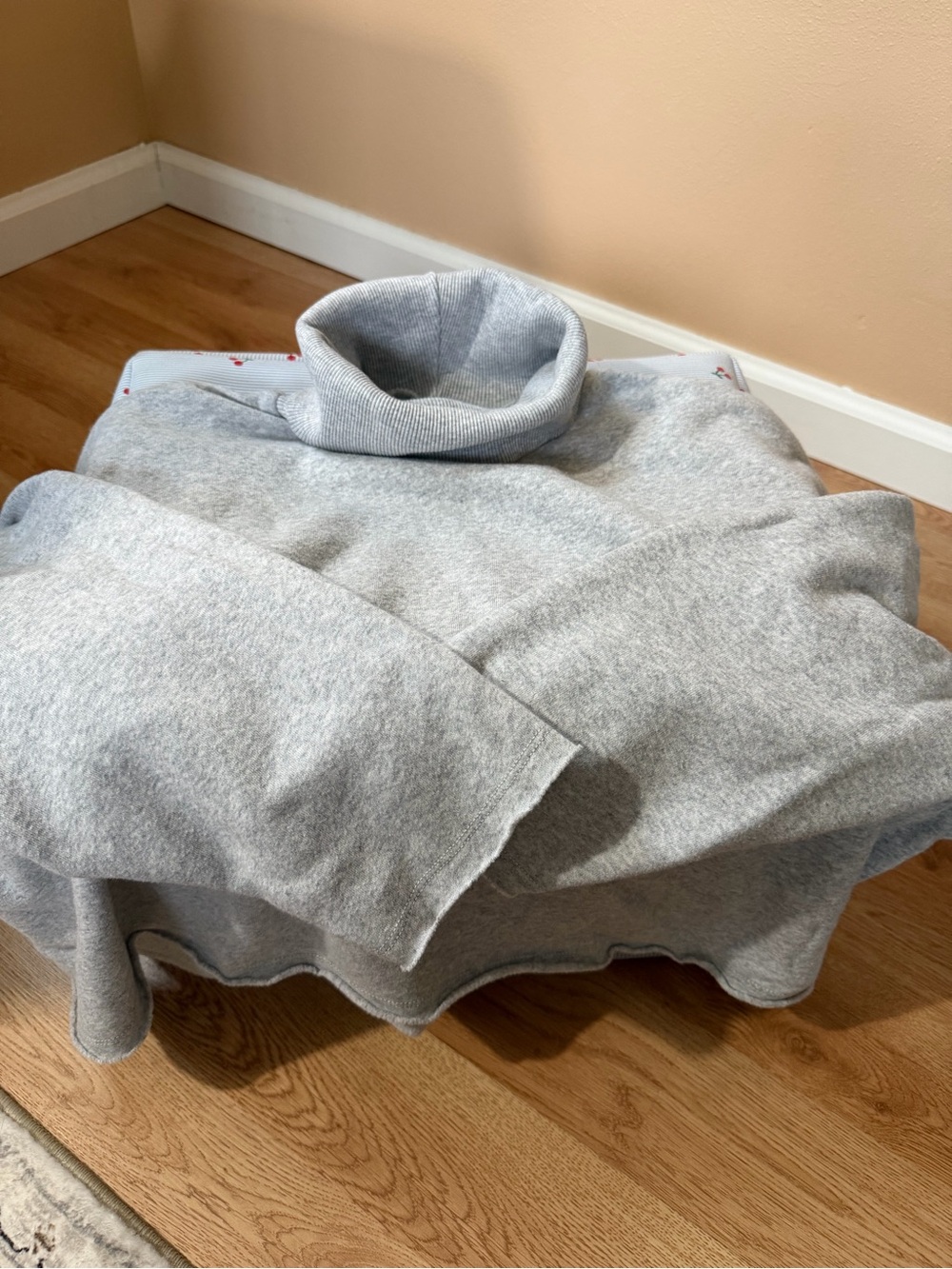 American Eagle Cropped Turtleneck Sweatshirt